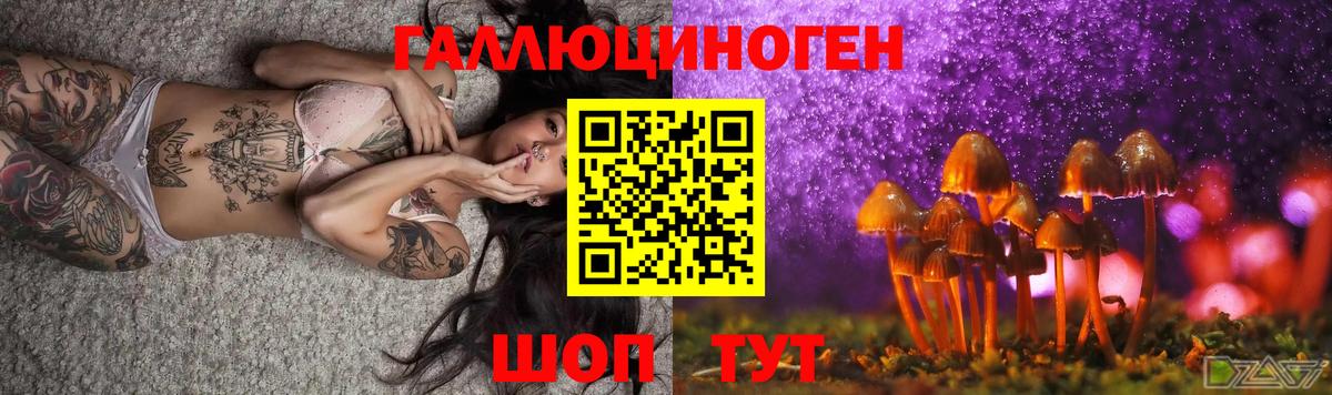 Псилоцибиновые грибы прущие грибы  Вход с VPN  Верхняя Пышма  Псилоцибиновые грибы Cubensis 